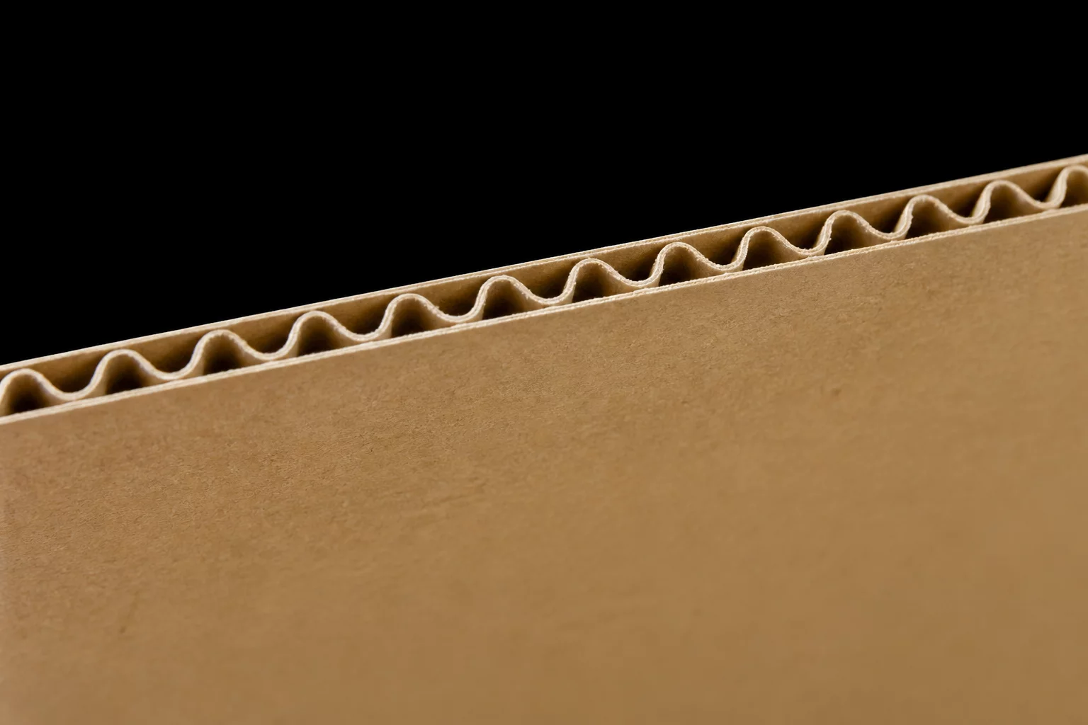 Cardboard Corrugated